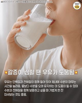폭염속 위험 행동들 (해봄 보면 안됨)