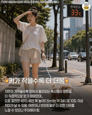 폭염속 위험 행동들 (해봄 보면 안됨)