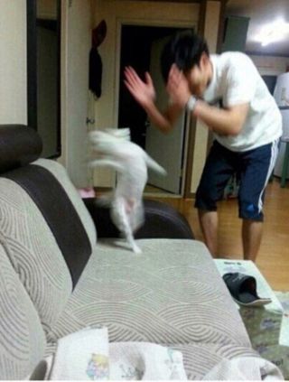 /u/6YnAHSlQl6SWkZ4od6H4Kt2yg4p2/images/1775620665730_430c5463-f62f-47b7-afe6-50cc5ca905d3.jpg