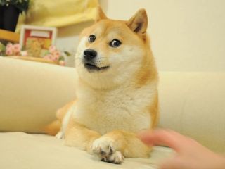 /u/6YnAHSlQl6SWkZ4od6H4Kt2yg4p2/images/1776608460407_59c9e7dd-b3fb-4b90-905a-63fb81c16ad5.webp