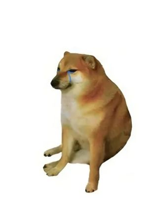 /u/6YnAHSlQl6SWkZ4od6H4Kt2yg4p2/images/1776608460408_9af4b1ed-bacc-4c1f-b919-2d101d217809.jpg