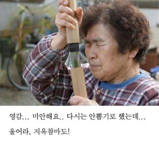 울어라 지옥참마도