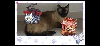 /u/6gymIxWlRbb6sHKFMymWdjZsrQC3/images/1774971031709_4a5c5308-ead0-43a3-aaee-531f172e1f1b.jpg