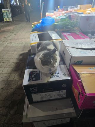 /u/6pFO5RmsV4RUVKwBxkbqglwo1yw2/images/1763041886413_136f72c3-eebb-42f3-8fbc-853b2df0a35b.jpg