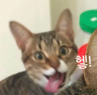 5월 23일 플엑포 다녀온날 ^-^