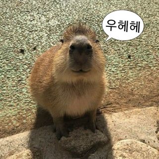 5월 23일 플엑포 다녀온날 ^-^