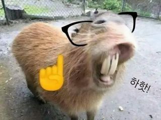 5월 23일 플엑포 다녀온날 ^-^