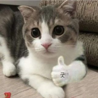 5월 23일 플엑포 다녀온날 ^-^