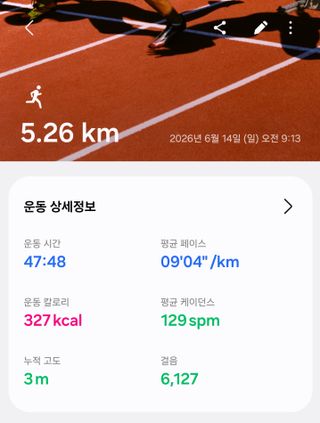 키보런 후기,철도가키 생일카페 후기