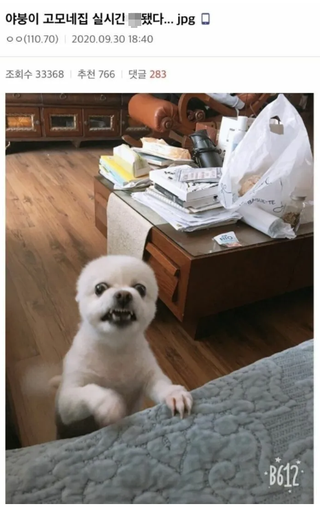 /u/GF0Kqe1p3Tg1C6JngsJ5zY94Ac22/images/1754223530423_4db24623-b33d-4a15-bb6c-308f1aae8c5e