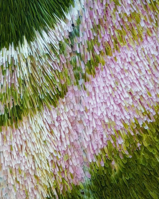 /u/GF0Kqe1p3Tg1C6JngsJ5zY94Ac22/images/1760441944182_336c2a03-0bee-4892-9b9b-03ca0a864d78