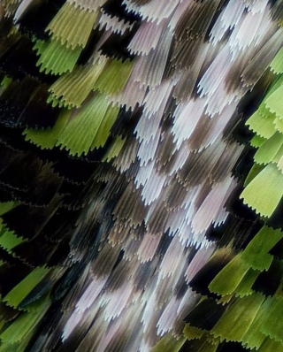 /u/GF0Kqe1p3Tg1C6JngsJ5zY94Ac22/images/1760441951106_475e5e1b-ac00-4164-b29e-feaf1442683d
