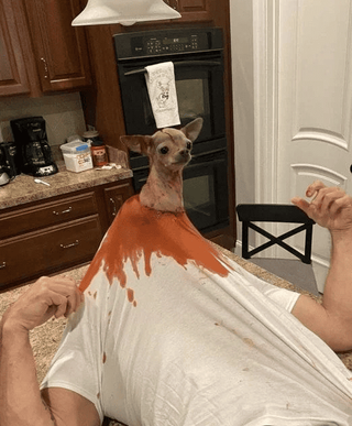 /u/GF0Kqe1p3Tg1C6JngsJ5zY94Ac22/images/1764587434121_368f8291-d742-4058-b1c6-dea4100d89a8