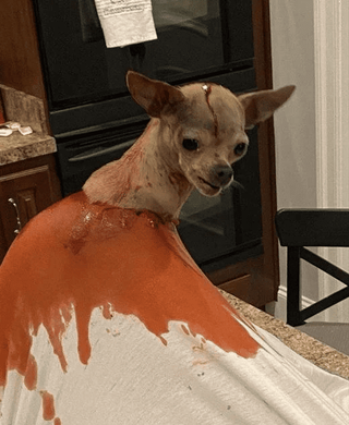 /u/GF0Kqe1p3Tg1C6JngsJ5zY94Ac22/images/1764587438793_e0c5caca-d4de-4090-b2db-27c9394e5752