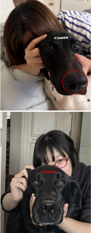 /u/GF0Kqe1p3Tg1C6JngsJ5zY94Ac22/images/1764587566452_3abf82e8-96bf-4845-b321-909126d62272