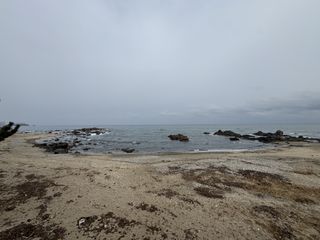 /u/GF0Kqe1p3Tg1C6JngsJ5zY94Ac22/images/1765597040835_cf9f246d-d511-4e40-889a-f102af5490d0.dng