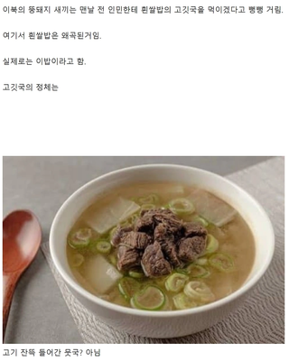 /u/GF0Kqe1p3Tg1C6JngsJ5zY94Ac22/images/1769341825564_e0e61ce6-3283-4a80-9097-1c012b4ad407