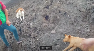 /u/GF0Kqe1p3Tg1C6JngsJ5zY94Ac22/images/1771765036492_a6a8f64d-76ee-4475-a41d-0d8ed75facf0