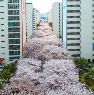 /u/GF0Kqe1p3Tg1C6JngsJ5zY94Ac22/images/1775300644211_d338b33b-a0c3-4277-ae0c-dcdd5e4b6562.webp