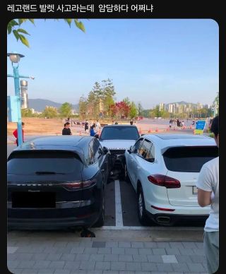 /u/GF0Kqe1p3Tg1C6JngsJ5zY94Ac22/images/1775302459928_75f06424-5021-4ba8-9615-2a4bf70609e9.webp