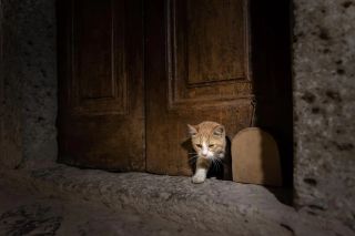 /u/GF0Kqe1p3Tg1C6JngsJ5zY94Ac22/images/1776011718548_4d2fd3b1-f815-4206-adeb-d68f96900815.webp