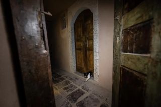 /u/GF0Kqe1p3Tg1C6JngsJ5zY94Ac22/images/1776011723683_85611614-6f31-45d1-8b84-b1fe708e9189.webp
