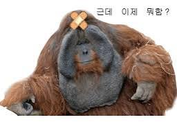 [행사 리뷰 - 2026 호요랜드] 운영은 잘했는데... 할게없다.