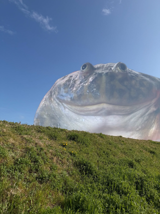 /u/G0hzmW7C00MW9U7UpRNLTHMqX6m1/images/1775922650543_43ba1fb7-0b8f-4c33-861f-dbfc8fbf4b95.png