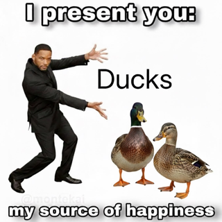 /u/G0hzmW7C00MW9U7UpRNLTHMqX6m1/images/1776956664717_c0397b20-ded4-4189-8b9b-209e17dded09.png