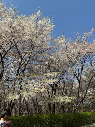 /u/G6tWDCGhXCaXEx4Gd1aHkGAPON03/images/1775727499694_84842f70-36cc-4905-b7ee-77781574f9a7.jpeg
