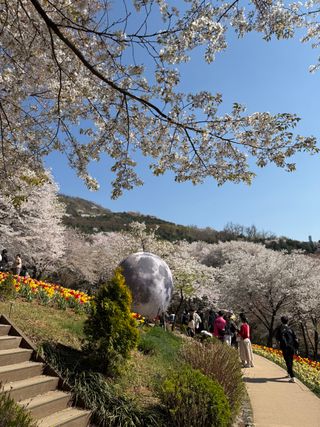 /u/G6tWDCGhXCaXEx4Gd1aHkGAPON03/images/1775727499695_1a7b2c2a-82c3-4c98-a5df-3e7bdd611c20.jpeg