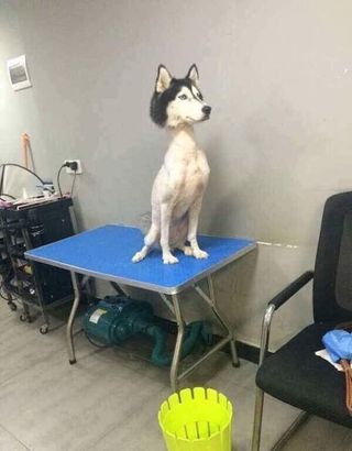 뻘글)큰물에서 노는거야 V!