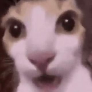 /u/HNcpP0XXVNSFxRbXgGBiS0PTNK42/images/1779035567988_449b2baf-d1e6-4a30-9852-73d5cab0864b.jpg