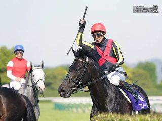 8/10 말딸 한섭 - 페노메노 픽업