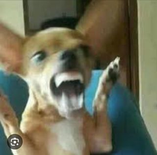 내일개강이라고?