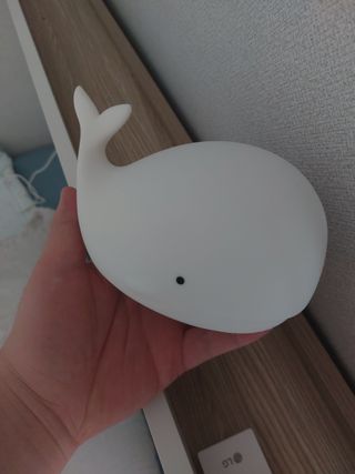 /u/LBEWM0oI5OgwieNyp9zeIzkmGW43/images/1755780339371_b0691447-9a32-4560-bbfd-e5201404f4a7.jpg