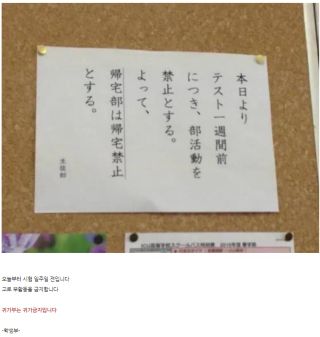 /u/LBEWM0oI5OgwieNyp9zeIzkmGW43/images/1775299082421_da61c738-e55c-42df-aea6-bde8617c5439.webp