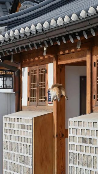 /u/LBEWM0oI5OgwieNyp9zeIzkmGW43/images/1775300493534_a00302da-f6c8-4d60-9f9f-8e30b48ec0ef.webp