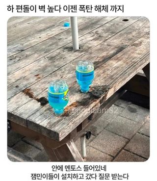 /u/LBEWM0oI5OgwieNyp9zeIzkmGW43/images/1775560880896_49d246a1-2df3-4db5-b6b5-b0c6cdade6cf.jpg
