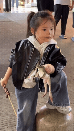 /u/LBEWM0oI5OgwieNyp9zeIzkmGW43/images/1775649915764_f06927a4-4794-4473-966d-e04058650689.gif