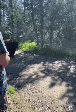 /u/LBEWM0oI5OgwieNyp9zeIzkmGW43/images/1775993368936_b80fbfc3-50ce-43b8-bcaf-5fdcef6c305d.gif