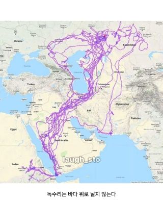/u/LBEWM0oI5OgwieNyp9zeIzkmGW43/images/1775906872139_12d890e5-74bb-4922-88e4-d0b8a860dd40.webp