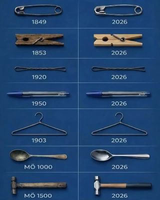/u/LBEWM0oI5OgwieNyp9zeIzkmGW43/images/1776599421293_40ec9fba-4f07-4fc7-a093-64e1e995efd2.webp