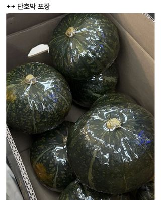 /u/LBEWM0oI5OgwieNyp9zeIzkmGW43/images/1777115975987_e403965f-d228-441b-b11c-e141721d5873.jpg