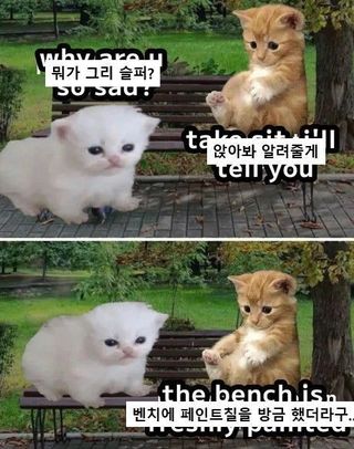 /u/LBEWM0oI5OgwieNyp9zeIzkmGW43/images/1778240600709_b23cc78c-8edd-4e4e-970c-e6379d894b91.jpg
