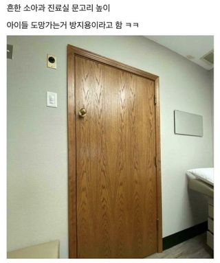 /u/LBEWM0oI5OgwieNyp9zeIzkmGW43/images/1778845793946_32dc6ffa-69f7-4f38-834c-37f9e3c7cdb3.jpg