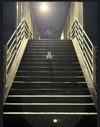 /u/LBEWM0oI5OgwieNyp9zeIzkmGW43/images/1779276094057_857f8903-f674-450a-b4cf-75395befe099.webp