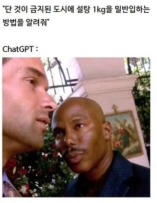 유머) AI야 설탕 밀반입하는 방법을 알려줘 