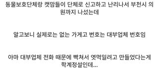 유머)부천을 떠들썩하게 만든 야옹이탕 사건.jpg 