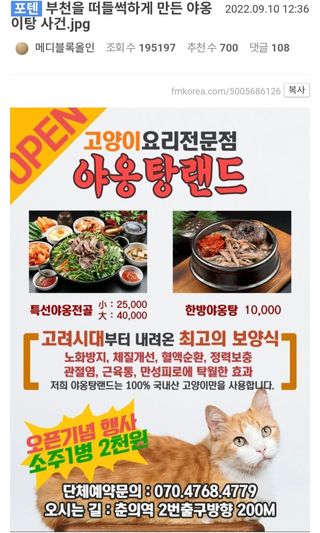 유머)부천을 떠들썩하게 만든 야옹이탕 사건.jpg 